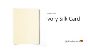 Ivory Silk Tint Card 250gsm 15 sheets