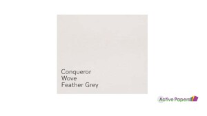 Conqueror Feather Grey Wove 120gsm non-watermarked M024