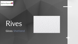 Rives Gloss Shetland Bright White  120gsm 170gsm  FINAL STOCK