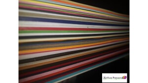 Big Mix of Colours 12x24 inch