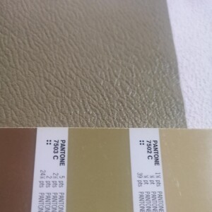 Green Heavy Leather Grain Texture 70gsm satin look