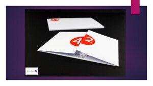 Heaven 42 Silk Matt 300gsm Pure White