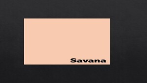 Salmon Pink Colour 120gsm C032