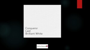 Conqueror Laid 400gsm Brilliant White