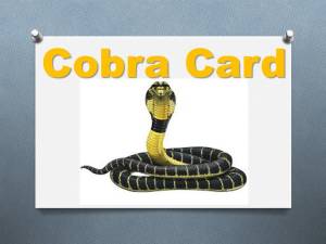 Cobra Card 12x12 250gsm