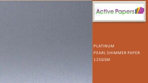 Platinum Shimmer Paper 125gsm 12x24