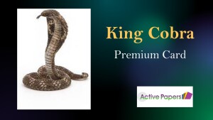 White Thick Card 300gsm 12x24inch 30 sheets